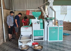 Máy xát gạo liên hoàn, xát gạo lứt 3 pha cso gầu tải TK1200