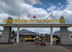 Mở Bán The Link City Dầu Giây – Booking Sớm Chọn Lô Đẹp