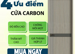 CỬA CARBONN