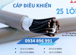Cáp Tín Hiệu 25X 0.75 mm2 chống nhiễu Hà Nội, Bắc Ninh, Hưng Yên