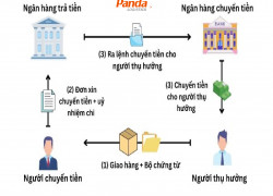 Các Phương Thức Thanh Toán Trong Vận Chuyển Hàng Hóa Quốc Tế