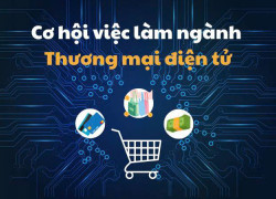Tuyển NV ngành thương mại điện tử ưu tiên có kinh nghiệm