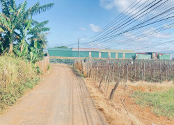 1400m2 mặt tiền đường hàn thuyên, view nhìn hồ nam sơn, đức trọng, lâm đồng