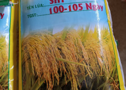 Bao lúa cấy làm sạch 40 kg đẹp – form đứng – in sắc nét để dễ nhận diện