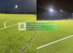 Dịch vụ chăm sóc thảm cỏ sân bóng tại TP.HCM, Đồng Nai