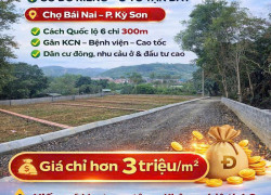 Đất ở đô thị F0 giá rẻ chỉ 520tr - 114m - mt 4m tại Phường Kỳ Sơn, TP. Hòa Bình