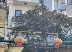 Bán nhà mặt phố Thanh Am,Long Biên 4 tầng,98m,mt4m vỉa hè,kinh doanh nhỉnh 20 tỷ