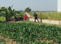 SIÊU HÓT - CHÍNH CHỦ BÁN LÔ ĐẤT ĐẸP – VUÔNG VẮN – HƯNG HÀ, THÁI BÌNH