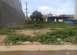 SIÊU PHẨM ĐẤT THẠNH XUÂN – 250m² FULL THỔ CƯ, GIÁ CHỈ 5,6 TỶ