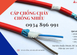 Cáp Điện Chống Cháy Chống Nhiễu 2x0.75 Giao Ngay Bình Dương, Quảng Nam, Quảng Ngãi.
