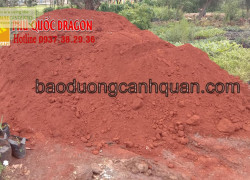 Cung cấp đất màu sạch, hỗ trợ cây trồng phát triển hơn