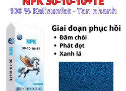 Phân bón NPK Tháp Cao 30-10-10 + TE.Hàng nhập khẩu - Giá tại nhà máy