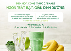 Giải nhiệt cơ thể cùng bột rau củ tổng hợp G.Organic