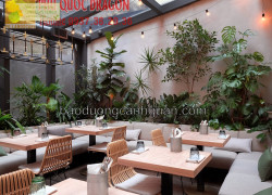 Thiết kế cảnh quan tiệm café sân vườn phong cách ở HCM Đồng Nai