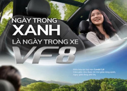 NGÀY TRONG XANH LÀ NGÀY TRONG XE VF 8​