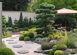 Thiết kế sân vườn đẹp phong cách ở Đồng Nai , TP Hcm