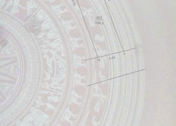 CHÍNH CHỦ CẦN BÁN GẤP ĐẤT THẮNG TRÍ (minh trí) Sóc Sơn 196m2  Măt Tiền  6.75m Giá 23triệu/m2