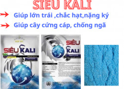 Phân bón lá siêu Kali - Chắc hạt , trái lớn nhanh