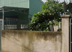 L1911 ⭐️⭐️ đất Mặt tiền Thạnh Xuân 43 Q12, SHR, Vuông, 4.5x15.3m, 4.x tỷ