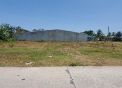 DUY NHẤT 1 LÔ ĐẤT THỔ CƯ QUẬN 12 – DIỆN TÍCH LỚN 10x25m – GIÁ TỐT 5,6 TỶ