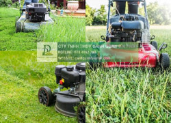 CẮT CỎ PHÁT HOANG ĐỒNG NAI CHO CÔNG TRÌNH – NHÀ MÁY – NHÀ XƯỞNG