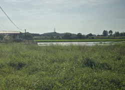 👨‍👩‍👧‍👦 GIA ĐÌNH TRẺ MUỐN AN CƯ GẦN TP.HCM – ĐẤT 200M² BẾN LỨC LÀ LỰA CHỌN RẤT ĐÁNG