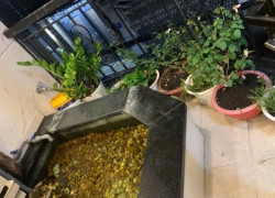 NHÀ 4 TẦNG - QUANG TRUNG P12 GÒ VẤP - 4PN 5WC - XE HƠI NGỦ NHÀ CHỈ NHỈNH 6 TỶ