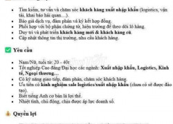 Tuyển nhân viên sales xuất nhập khẩu làm tại Hà Nội