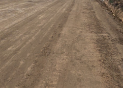 Bán đất mặt tiền đường nhựa ĐH715 Dầu Tiếng, Bình Dương chỉ 650tr