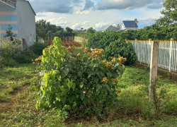 1300m2 hẻm đối diện trường cấp 3 hoàng hoa thắm, n'thôn hạ, đức trọng cũ, lâm đồng