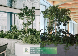 DỊCH VỤ THIẾT KẾ & THI CÔNG CÂY XANH CÔNG TRÌNH THƯƠNG MẠI TẠI TP.HCM