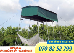 Cách thu hút dơi hiệu quả nhất với máy gọi dơi