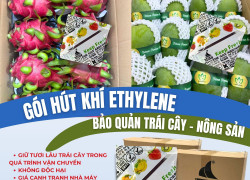 Gói Hút Khí Ethylene Secco - Bảo Vệ Nông Sản, Trái Cây Tươi Xuất Khẩu