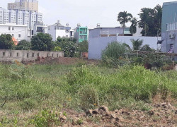 765m² THỔ CƯ BẾN LỨC – GIÁ CHỈ 6 TỶ – HÀNG HIẾM CHO ĐẦU TƯ NGẮN HẠN