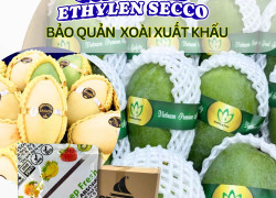 Gói Hút Khí Ethylene Secco 5g - Bảo Quản Trái Cây Tươi Lâu Hơn