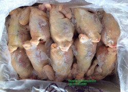 Cung cấp gà đông lạnh Hà Nội cho nhà hàng, quán ăn