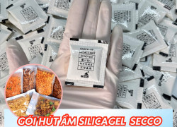Gói Hút Ẩm Secco - Gói Hút Ẩm Thực Phẩm 1gam 2gam 5gam 10gam