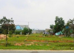 CƠ HỘI SỞ HỮU ĐẤT THỔ CƯ BẾN LỨC – VỊ TRÍ ĐẸP, GIÁ ĐẦU TƯ HẤP DẪN