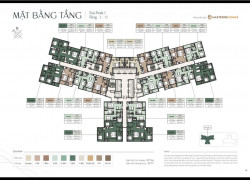 mở bán chung cư LUMIERE ESENCE PEAK