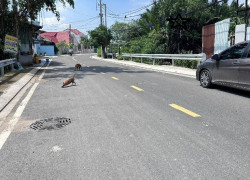 ĐẤT Gấp  MẶT TIỀN TỈNH LỘ 15 CỦ CHI – 1800M2 THỔ CƯ – NGANG 25M – SỔ HỒNG RIÊNG – GIÁ HỜI – LH 0396607729