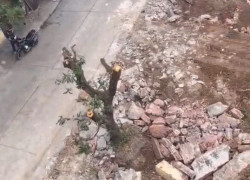 Bán đất ngõ Trần Quang Diệu – đối diện KĐT Tân Phú Hưng – giá 1.4x tỷ