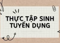 TUYỂN DỤNG THỰC TẬP SINH