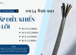 Cáp Điều Khiển 10 Lõi 1.0 Mm2 Đà Nẵng, Hà Nội, Hồ Chí Minh