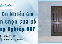 Lý Do Nhiều Gia Đình Chọn Cửa Gỗ Công Nghiệp HDF