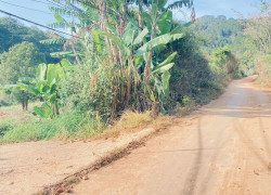 4 sào hẻm ql27, Dran, đơn dương, lâm đồng