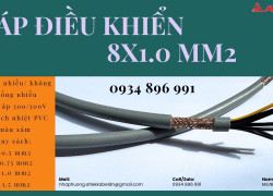 Cáp Chống Cháy Chống Nhiễu 2x2.5 Mm2 Đồng Nai, Bình Phước, Long An Đạt Chuẩn Bs6387, Iec 60331