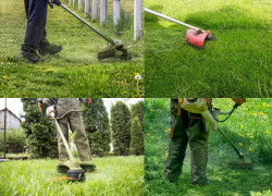 Báo giá cho thuê nhân công chăm sóc cây xanh mới nhất 2026