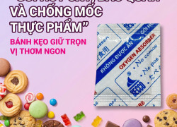 GIẢI PHÁP BẢO QUẢN THỰC PHẨM TOÀN DIỆN – GÓI HÚT OXY SECCO