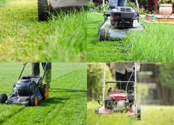 Báo giá cắt cỏ, cắt tỉa, chăm sóc cây xanh Đồng Nai mới nhất 2026