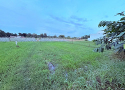 Giá RẺ QUÁ 500m2 đường container chạy vi vu gần QL 22 Củ Chi ngang 16.5m tiện xây BT vườn nhỉnh 5 tỷ.